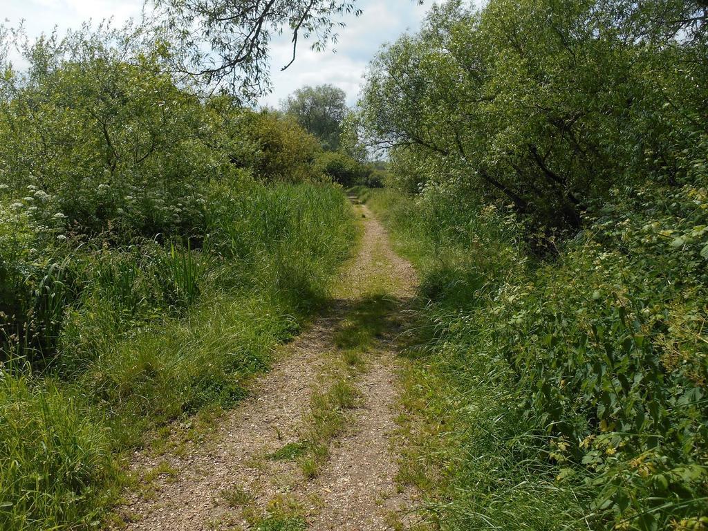 Shirley Apartments, Cozy Studio, Self Check In, 10 Min Drive To City Centre, Walking To Redbridge Train Station サウサンプトン エクステリア 写真